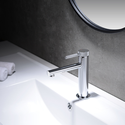 Opbouw wastafelkraan Taylor - Chroom