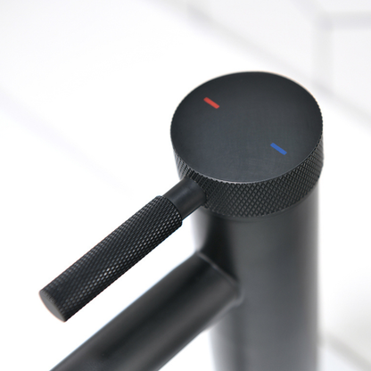 Opbouw wastafelkraan Taylor - Mat zwart